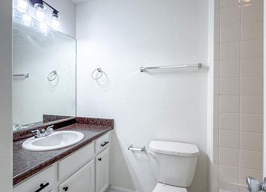 A white toilet sits next to a sink in a bathroom.