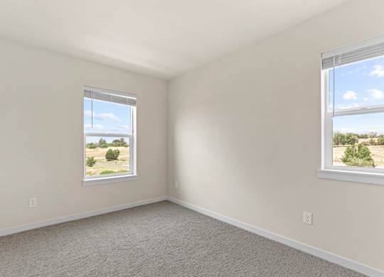 Lush Wall-to-Wall Carpeting at The Townhomes at Pine Drive, Parker, CO