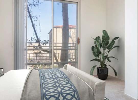 A bedroom with a bed, a couch, and a potted plant.