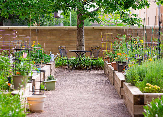 A garden with a bench and a table surrounded by plants.