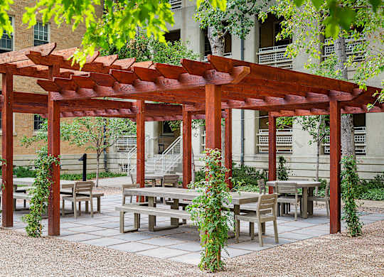 A wooden pergola with benches and tables is surrounded by greenery.