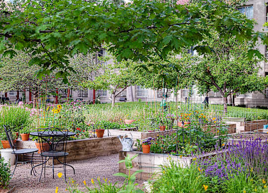 A garden with a table and chairs in the foreground.