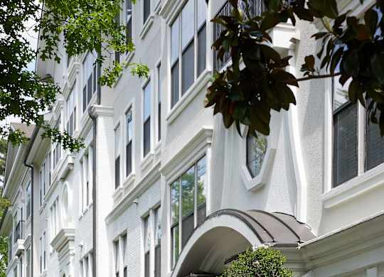 a large white building with a staircase and trees in front of it
