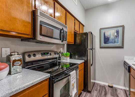 our apartments have a modern kitchen with stainless steel appliances