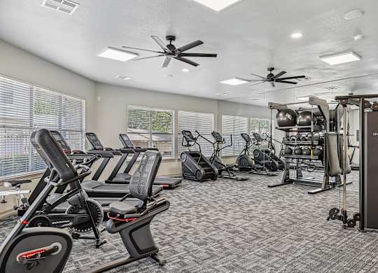 A gym with a variety of equipment including treadmills, weights, and a squat rack.