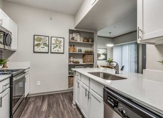 Kitchen Sink at Canyon Ridge, Austin, TX, 78753