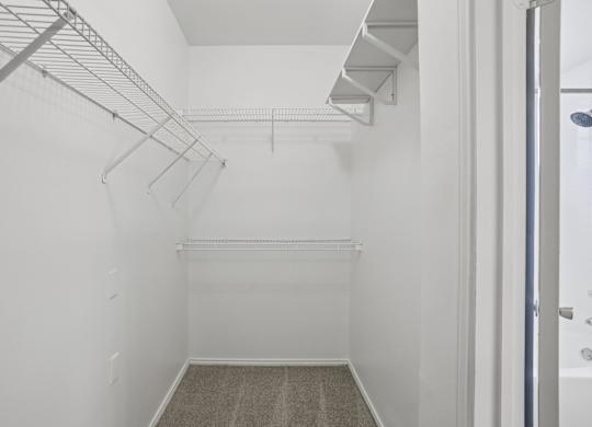 A walk-in closet with white walls and a carpeted floor.