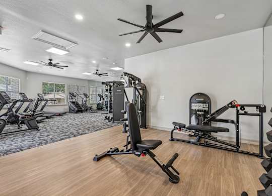 A gym with a variety of equipment including treadmills, weights, and a rowing machine.
