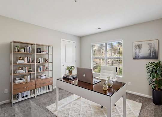 A room with a desk, a laptop, a bookshelf, and a potted plant.