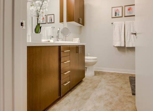 a bathroom with a toilet and a wooden cabinet