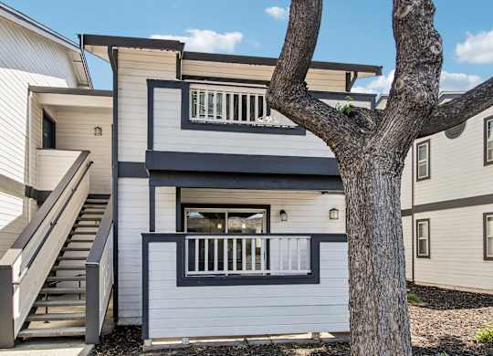 A tree stands in front of a two-story house.