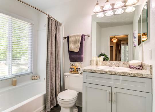 Pet Friendly Apartments in Roswell, GA - 2200 Big Creek Apartments - Bathroom with beautiful natural light from window