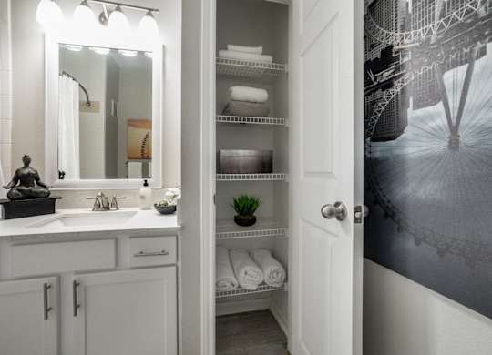 a bathroom with a sink and a mirror and a closet