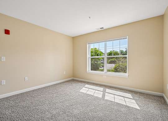 A room with a large window and a carpeted floor.