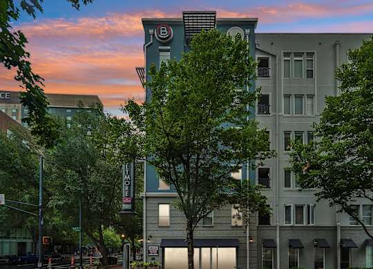 A tree in front of a building with a sign that says