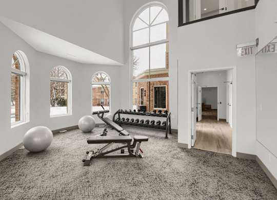 Free weights