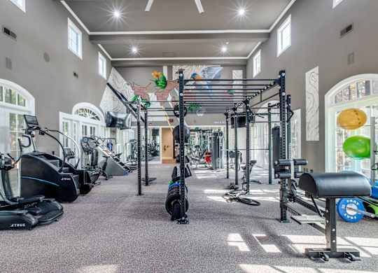 Washington Avenue Coalition, TX, Luxury Apartments Near Texas Medical Center - Marcella Memorial Heights - A Fitness Center With Modern Machines, Strength-Training Stations, And Tall Windows.