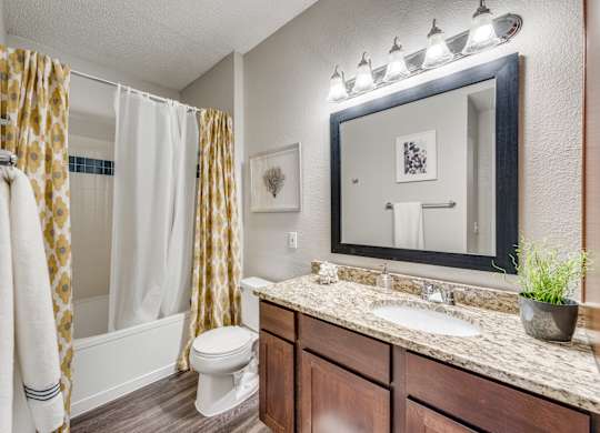 a bathroom with a shower toilet and sink and a mirror