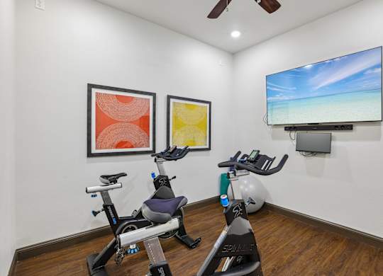 A room with a television, two exercise bikes, and two framed pictures on the wall.