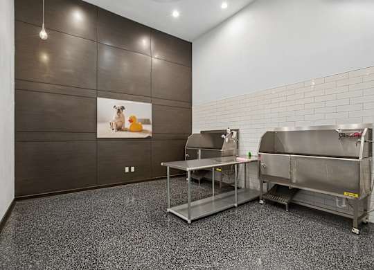 A room with a grey floor and a white wall with a picture of a dog and a cat on it.