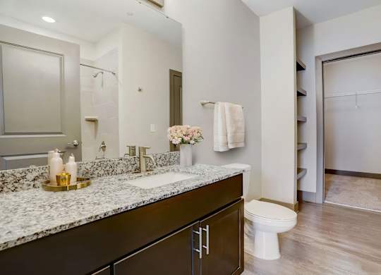 Nashville Apartments - Octave Apartments - bathroom with granite countertops and walk in closet