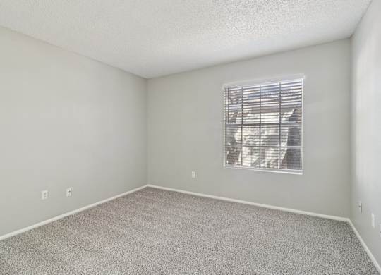 A room with a carpeted floor and a window with blinds.