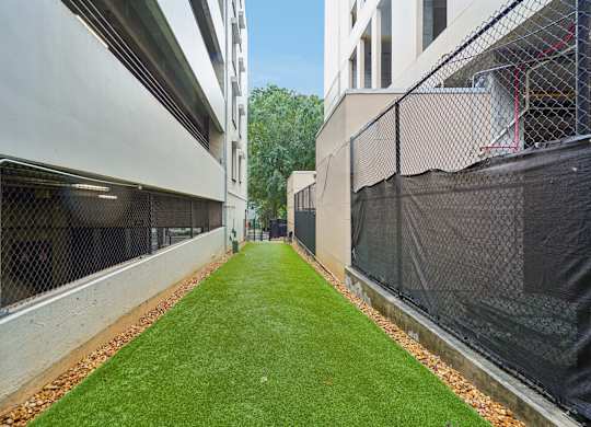 A narrow alley with a green lawn in the middle.