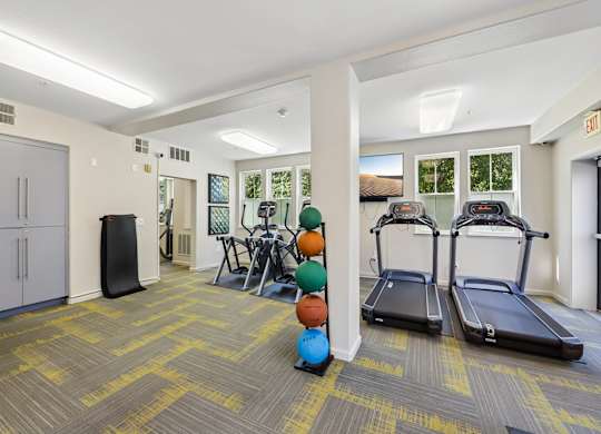 A gym with treadmills, exercise balls, and a refrigerator.