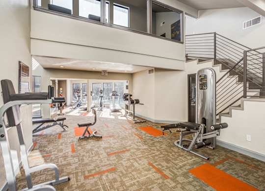 A gym with a variety of equipment including a treadmill, weights, and a bench press.