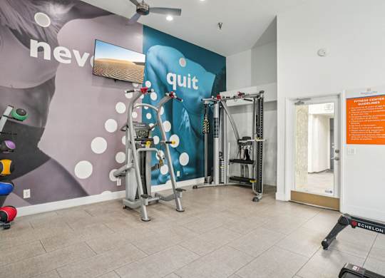 A gym with a wall mural and a variety of equipment.