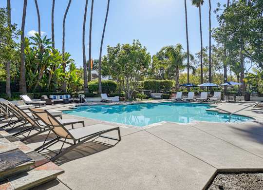 A pool surrounded by palm trees and lounge chairs.