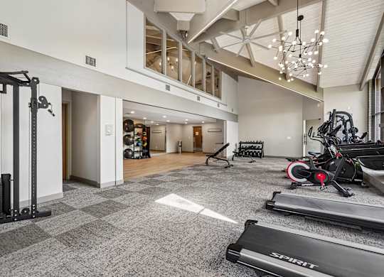 A spacious gym with a variety of equipment including treadmills, weights, and a stationary bike.