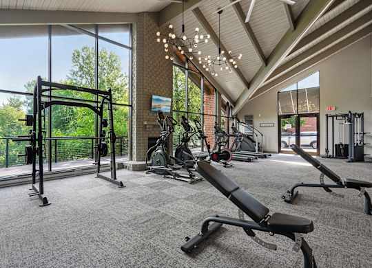 A gym with a variety of equipment including a squat rack, bench press, and a rowing machine.