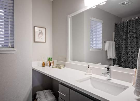 A bathroom with a white sink and a mirror.