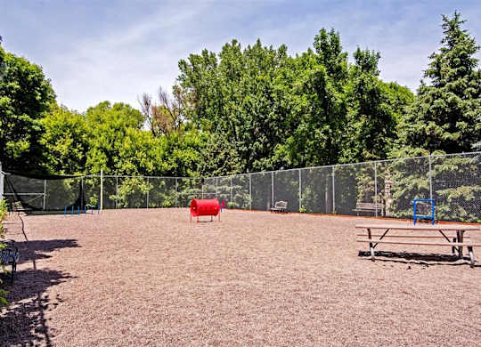 dog park with agility course
