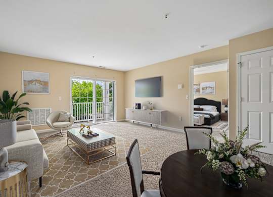 A living room with a grey sofa, a coffee table, and a television.