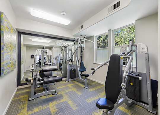 A gym with a variety of equipment including a leg press machine, a chest press machine, a leg curl machine, a leg extension machine, a lat pulldown machine, a seated calf raise machine, a seated leg raise