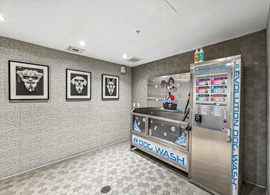 A dog wash machine is in a room with three pictures of dogs on the wall.