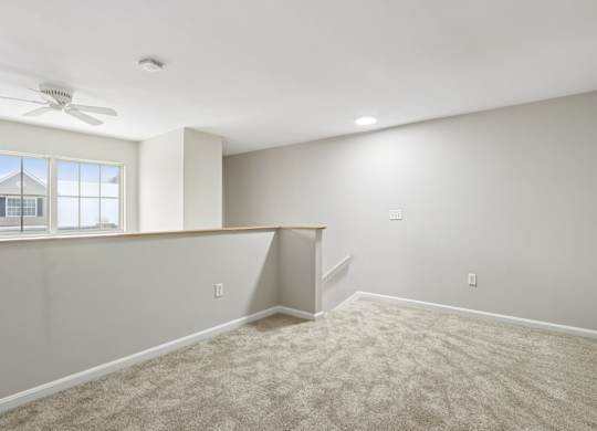 A room with a carpeted floor and a window.