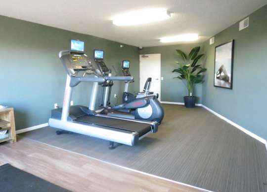 the fitness room has a treadmill and a potted plant