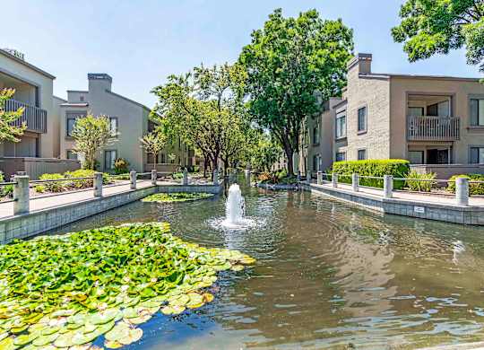 Dog Friendly Apartments in Walnut Creek CA - Park Lake at Walnut Creek - Breathtaking Water Fountain, Greenery, and Walkways