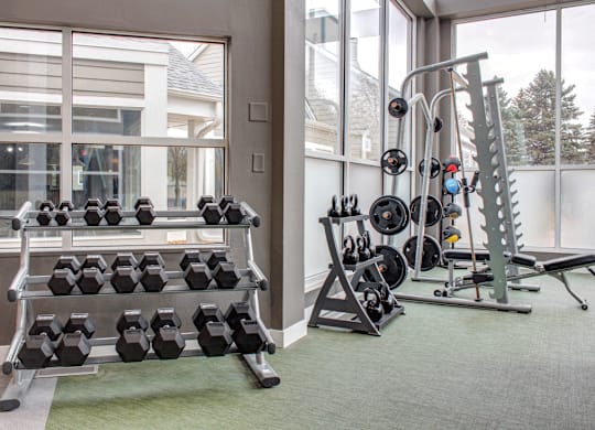 Free weights in fitness center, smith machine