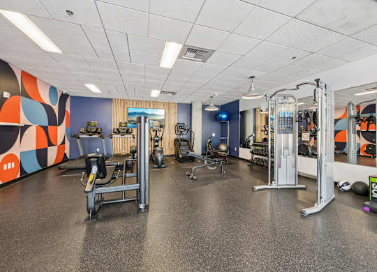 A gym with a variety of equipment including a treadmill, weights, and a bench press.