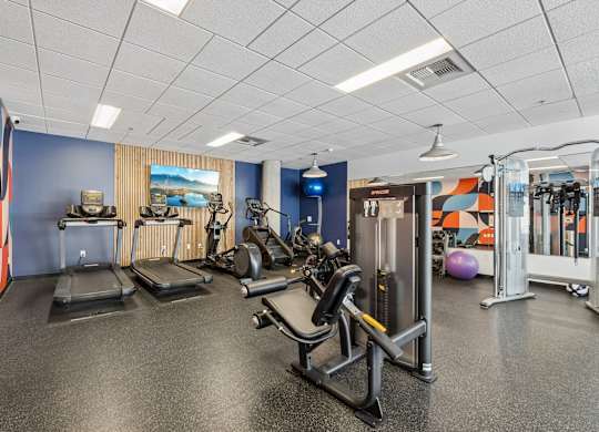 A gym with a variety of equipment including treadmills, weights, and exercise machines.
