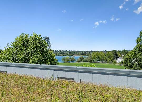 A grassy field with a fence and a lake in the distance.