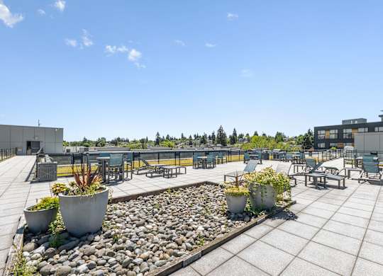 A rooftop patio with a stone walkway and potted plants.