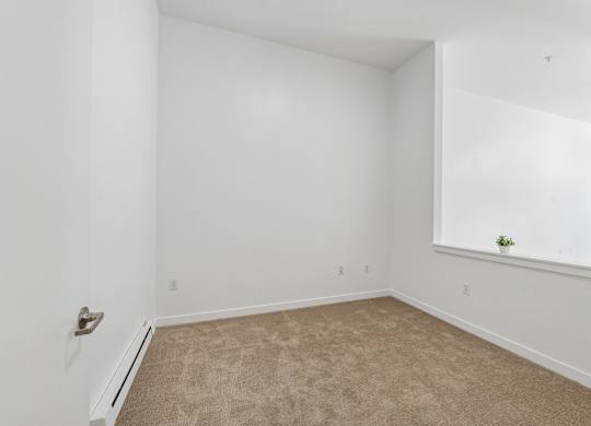 A room with white walls and a window with a plant on the sill.