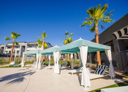 a patio with hammocks and umbrellas and palm trees
