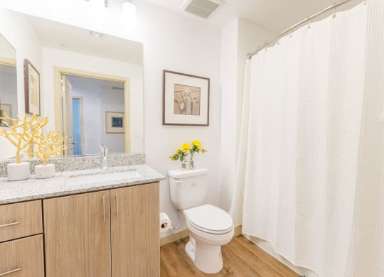 Gilbert AZ Apartments - Bathroom With Private Master Baths, Plank Flooring, Granite Countertops, Wood-Grain Cabinets, Toilet, And Large Mirror.
