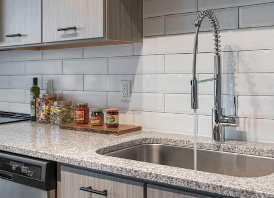Pet-Friendly Apartments in Riverview – Sole at Brandon - luxury kitchen with subway tile backsplash and granite countertops,